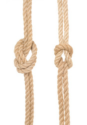 Similar image 20455785