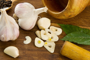 Similar image 20455905