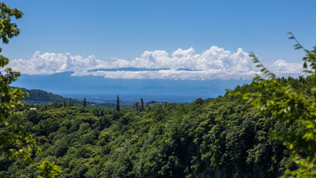 Similar image 20456307