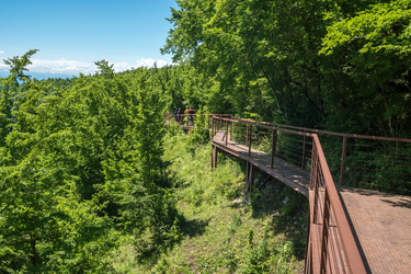 Similar image 20456310