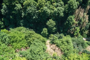 Similar image 20456317