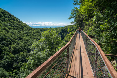 Similar image 20456322