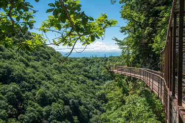 Similar image 20456326