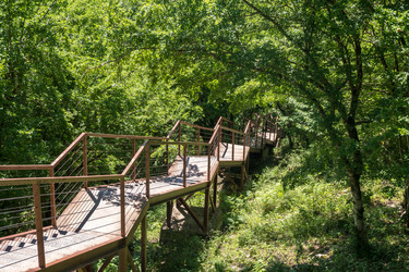 Similar image 20456328