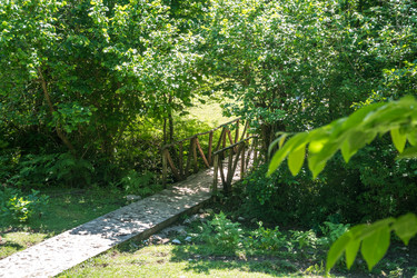 Similar image 20456329