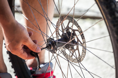 Similar image 20456334