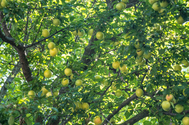 Similar image 20456343