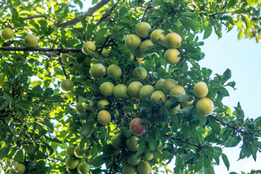 Similar image 20456344