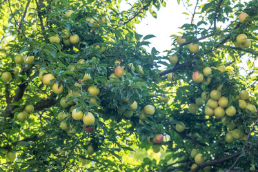 Similar image 20456345