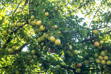 Similar image 20456346