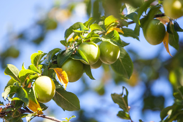 Similar image 20456349