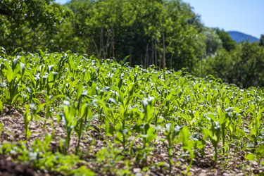 Similar image 20456353