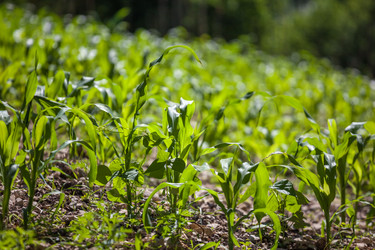 Similar image 20456354