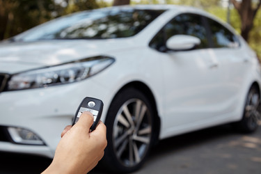 Similar image 20457219