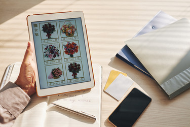 Similar image 20457526