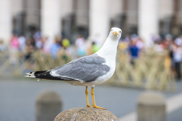 Similar image 20452521