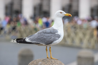 Similar image 20452524