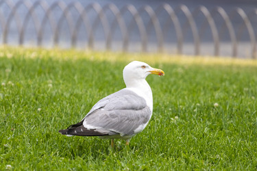 Similar image 20452527