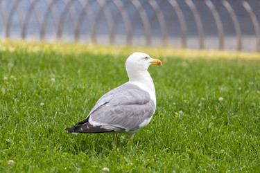 Similar image 20452528