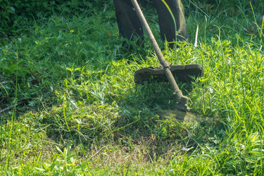 Similar image 20452544