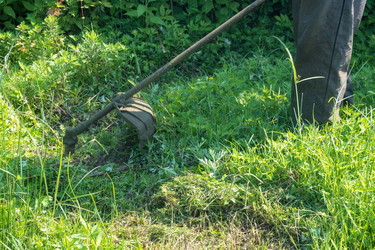 Similar image 20452545