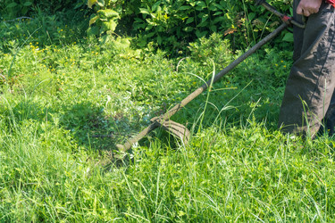 Similar image 20452547