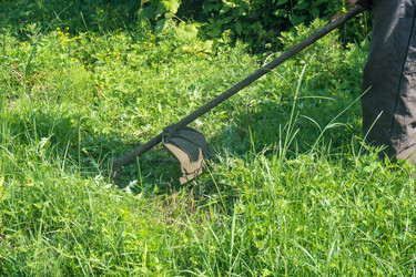 Similar image 20452548