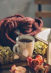 Similar image 20457598