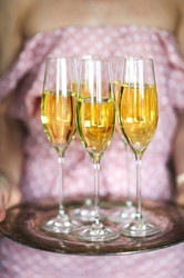 Similar image 20457658