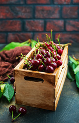 Similar image 20456609