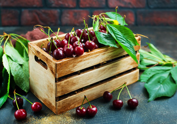 Similar image 20456610