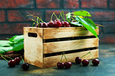 Similar image 20456611