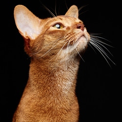 Similar image 20457620