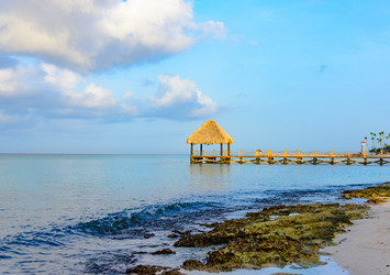 Similar image 20456042