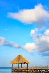 Similar image 20456043