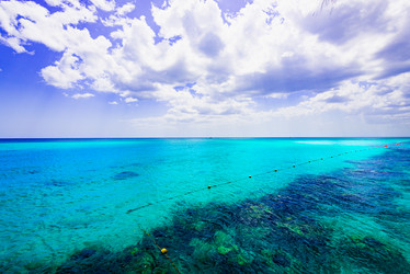 Similar image 20456046