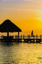 Similar image 20456048