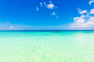 Similar image 20456061