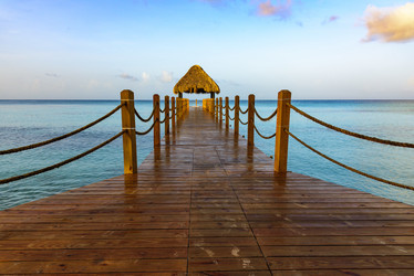 Similar image 20456071