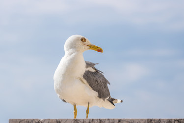 Similar image 20472356