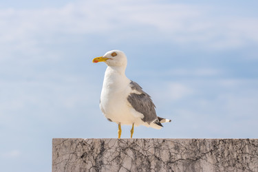 Similar image 20472360