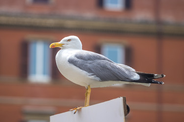 Similar image 20472364