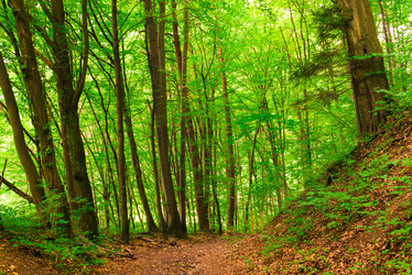 Similar image 20472453