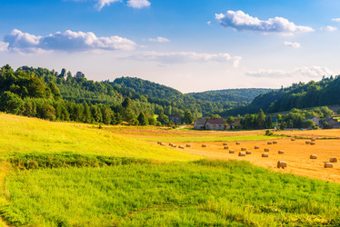 Similar image 20472454