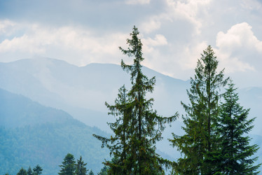 Similar image 20472501