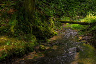 Similar image 20472564