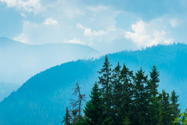 Similar image 20472615