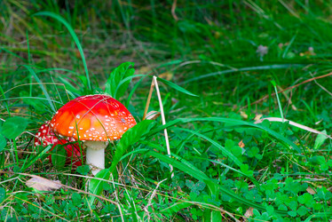 Similar image 20472641