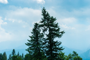 Similar image 20472643