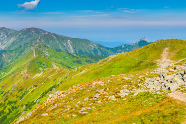 Similar image 20472647